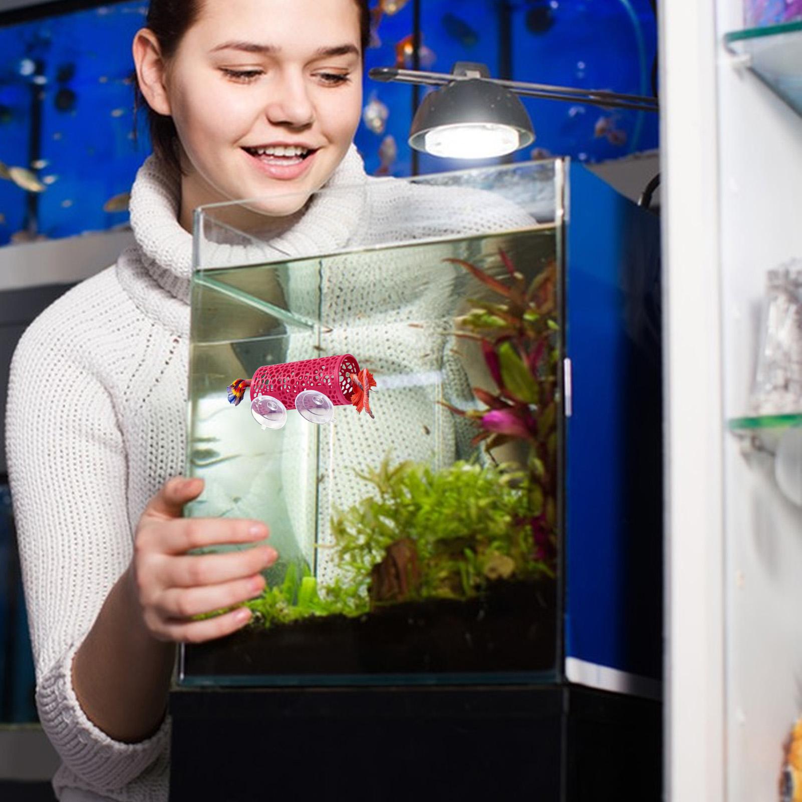 Betta Habitat Resting Shelter  - Betta Fish Tank ulasan dan harga