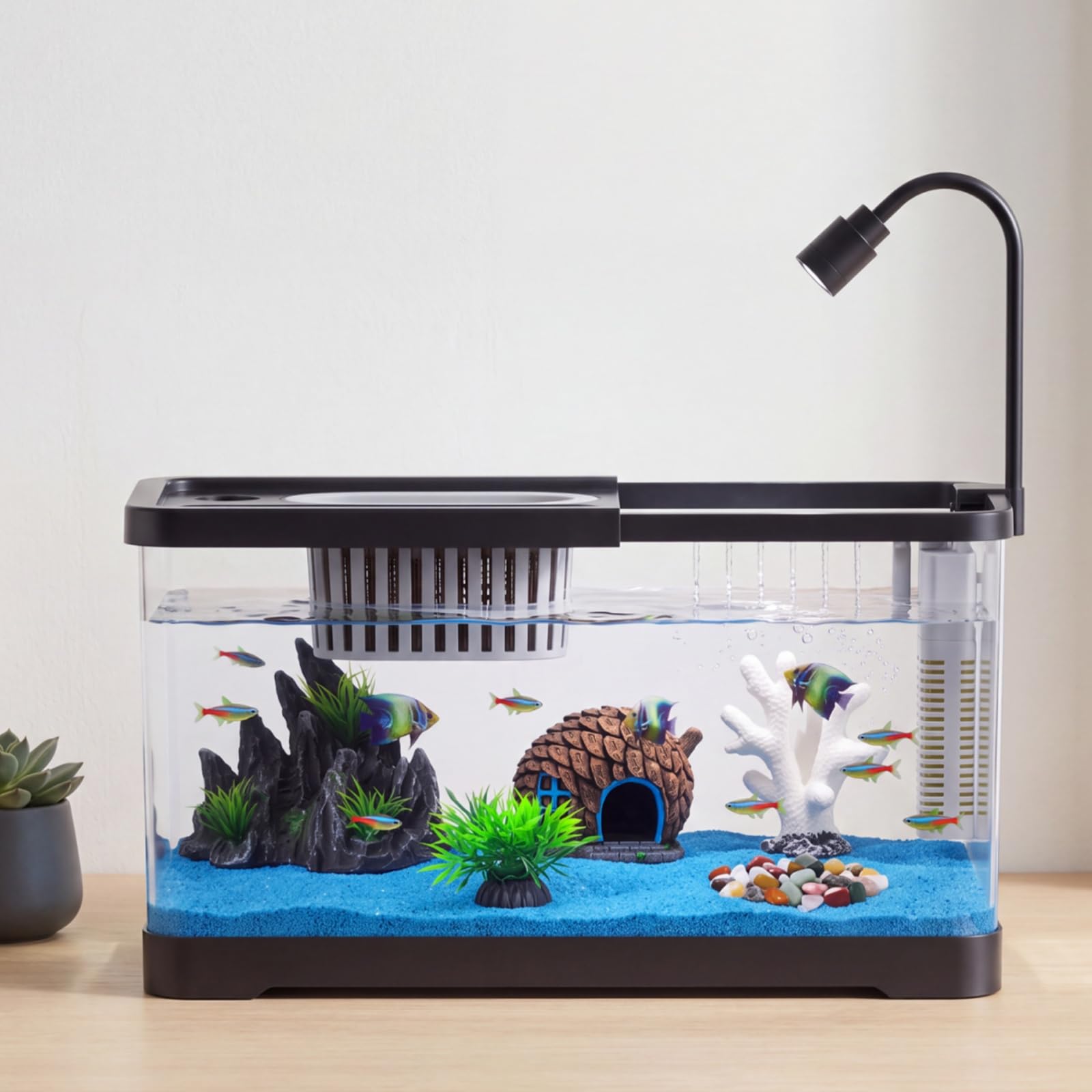 Fish Tank Starter Kit With Fil - Betta Fish Tank ulasan dan harga
