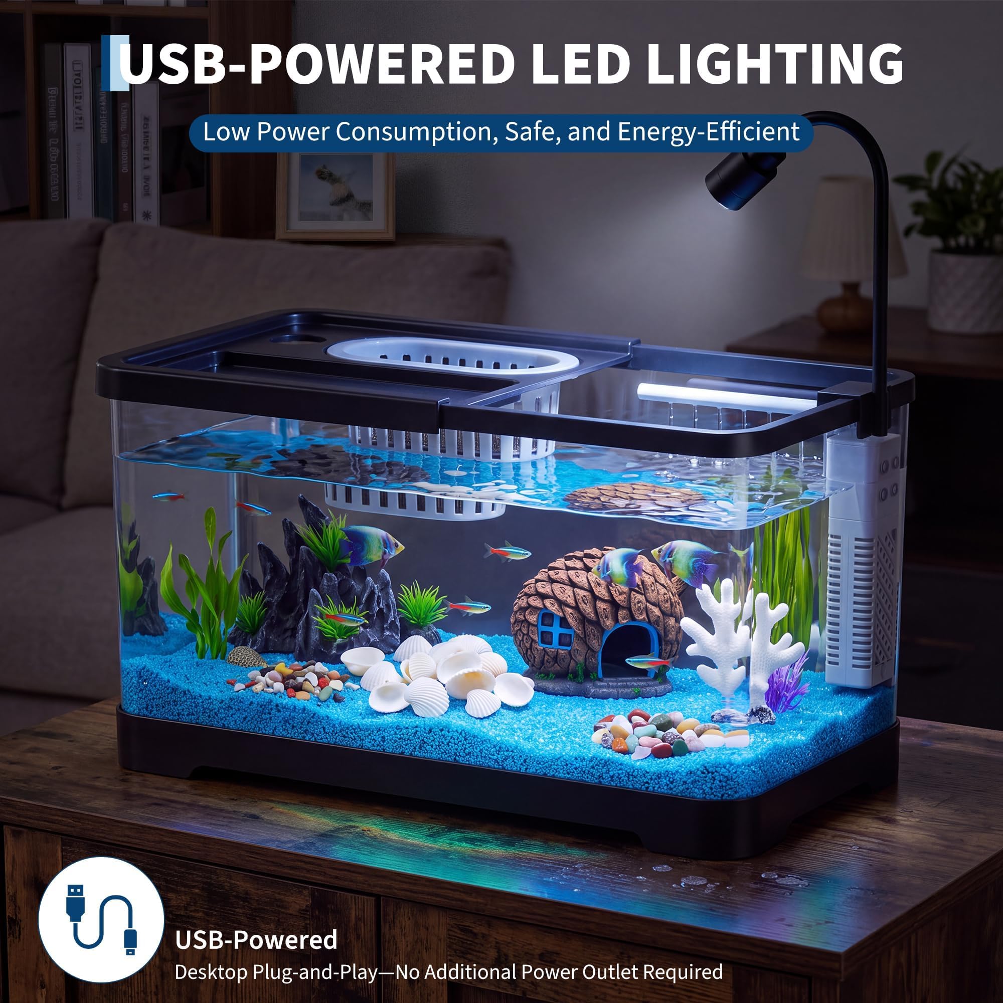 Fish Tank Starter Kit With Fil - Betta Fish Tank ulasan dan harga