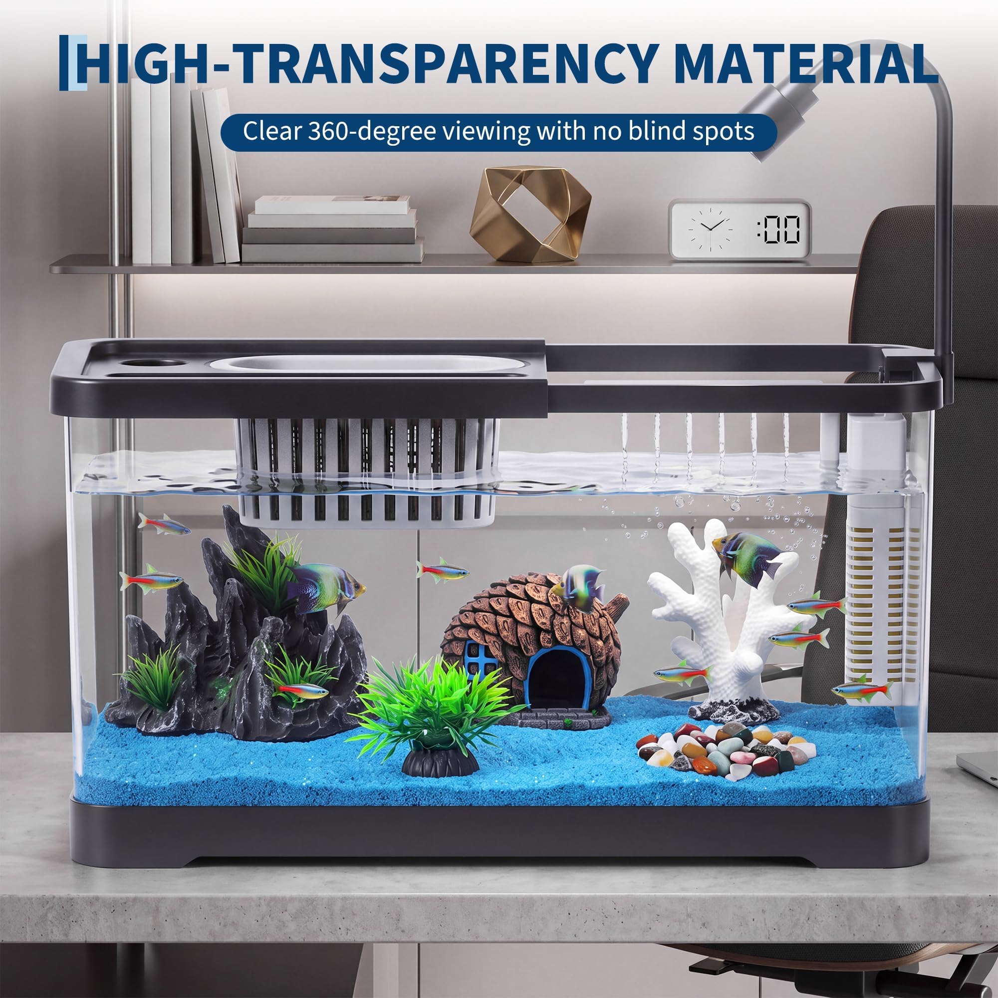 Fish Tank Starter Kit With Fil - Betta Fish Tank ulasan dan harga