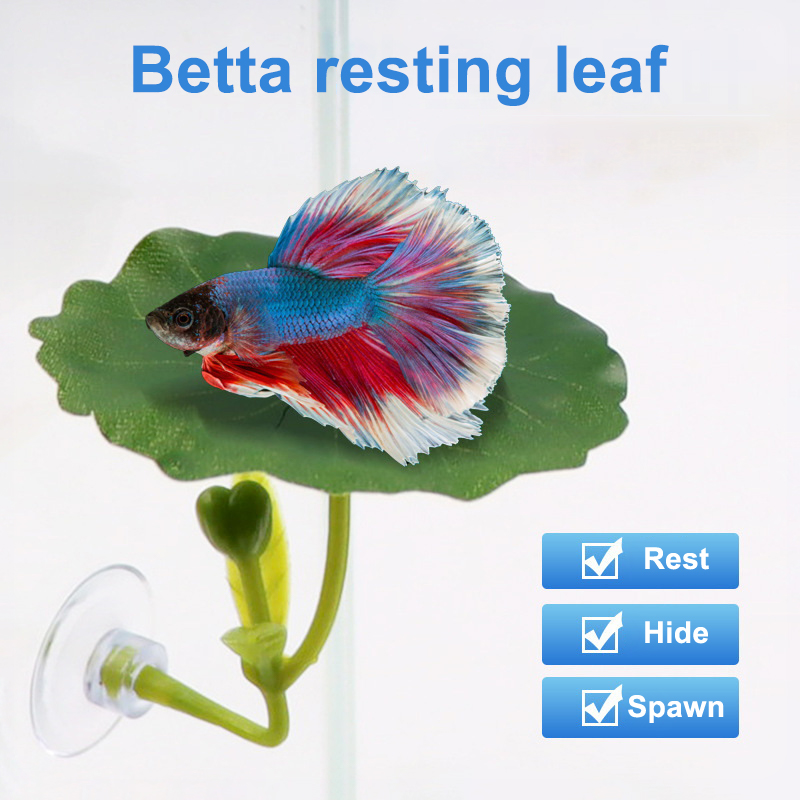 (Ce14)1/5PC Green Leaf Hammock - Betta Fish Tank ulasan dan harga