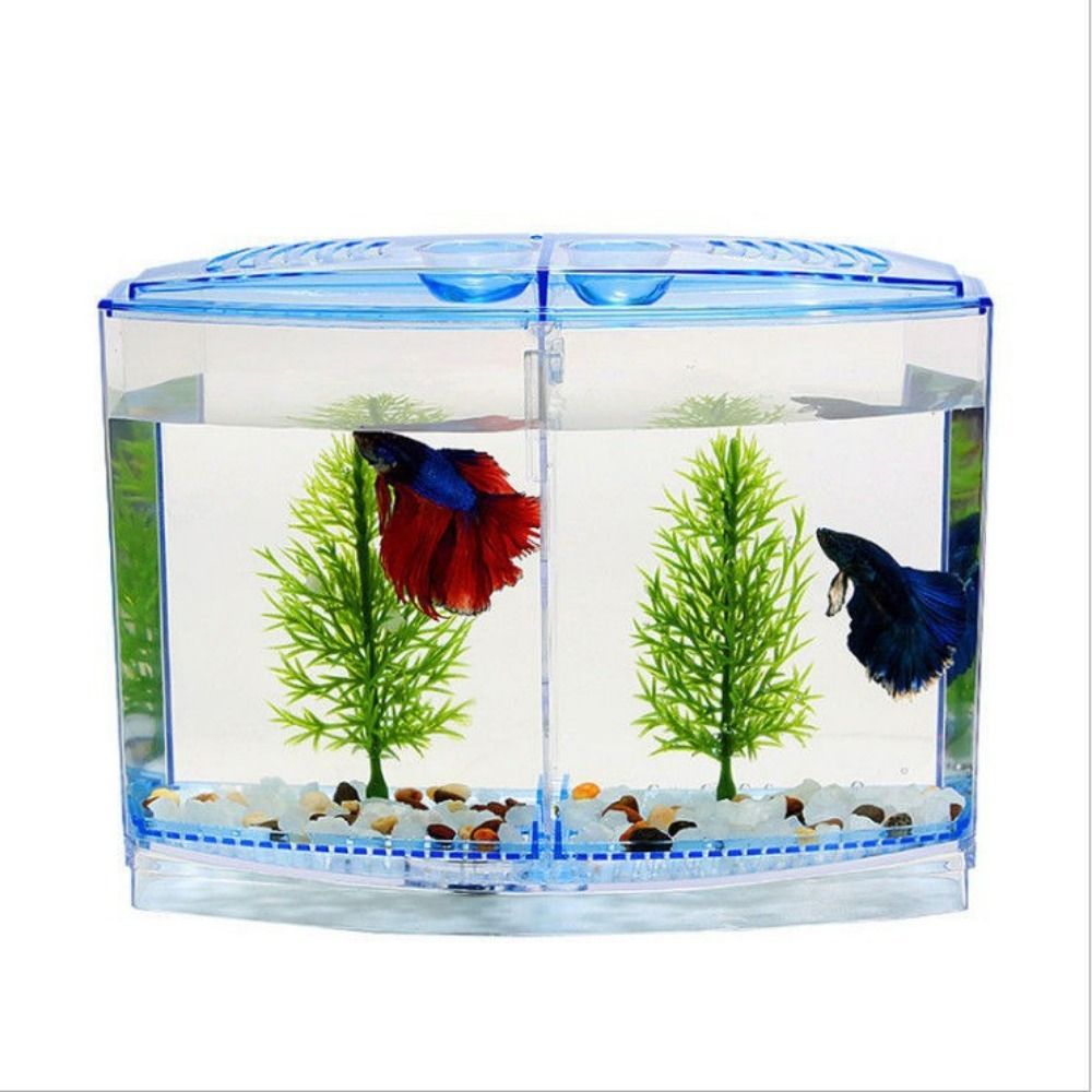 Transparent Betta Fish Tank, D - Betta Fish Tank ulasan dan harga
