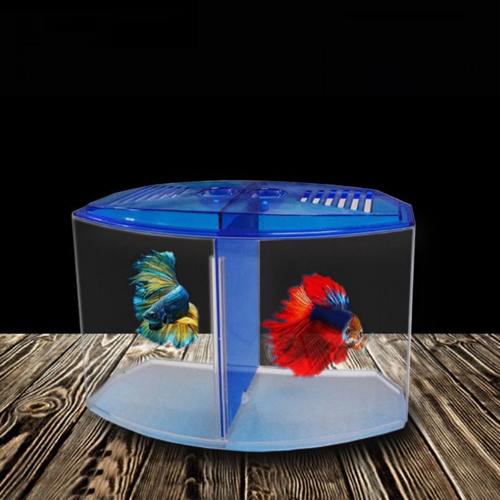 Transparent Betta Fish Tank, D - Betta Fish Tank ulasan dan harga