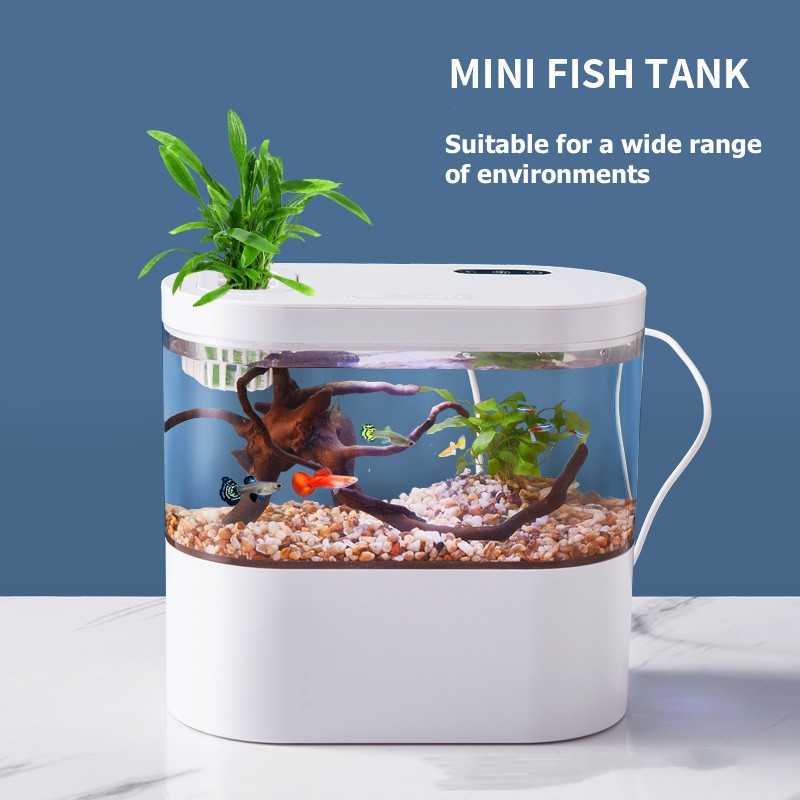Creative Mini Desktop Fish Tan - Betta Fish Tank ulasan dan harga